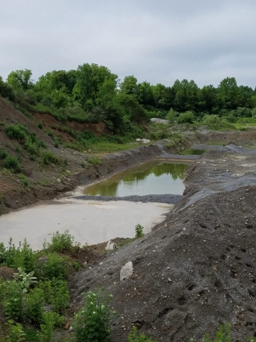 water ponds